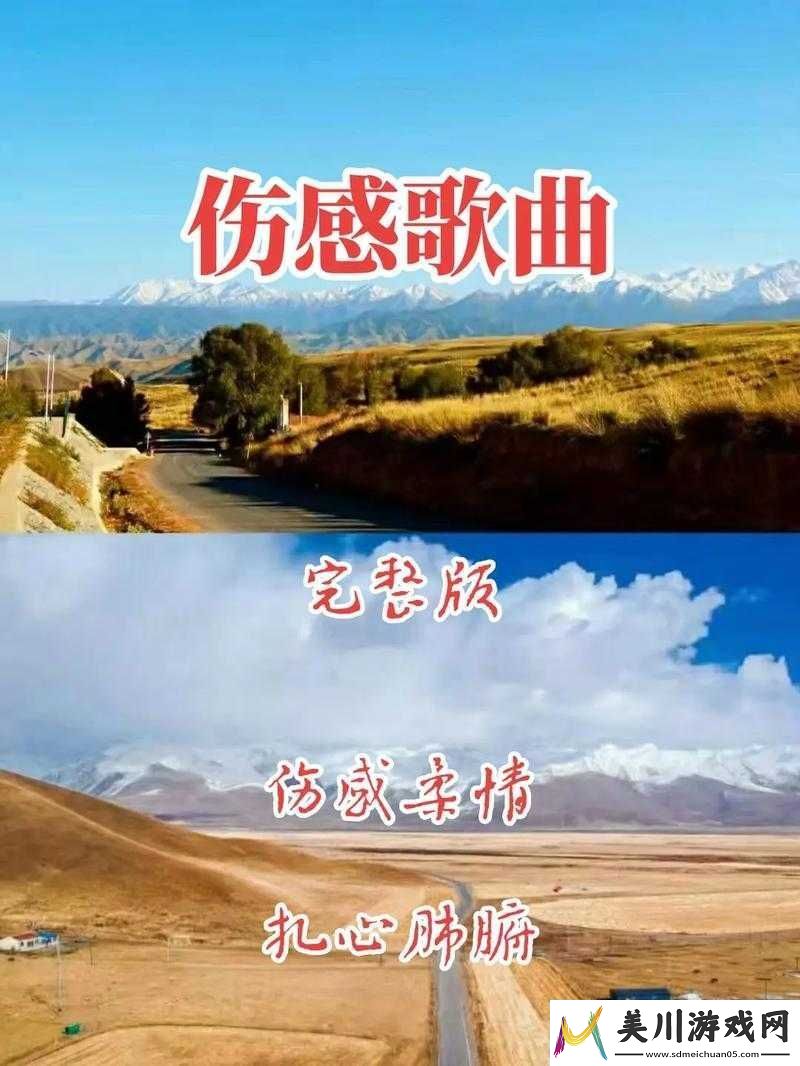 抖音独步街头已成习惯是什么歌曲