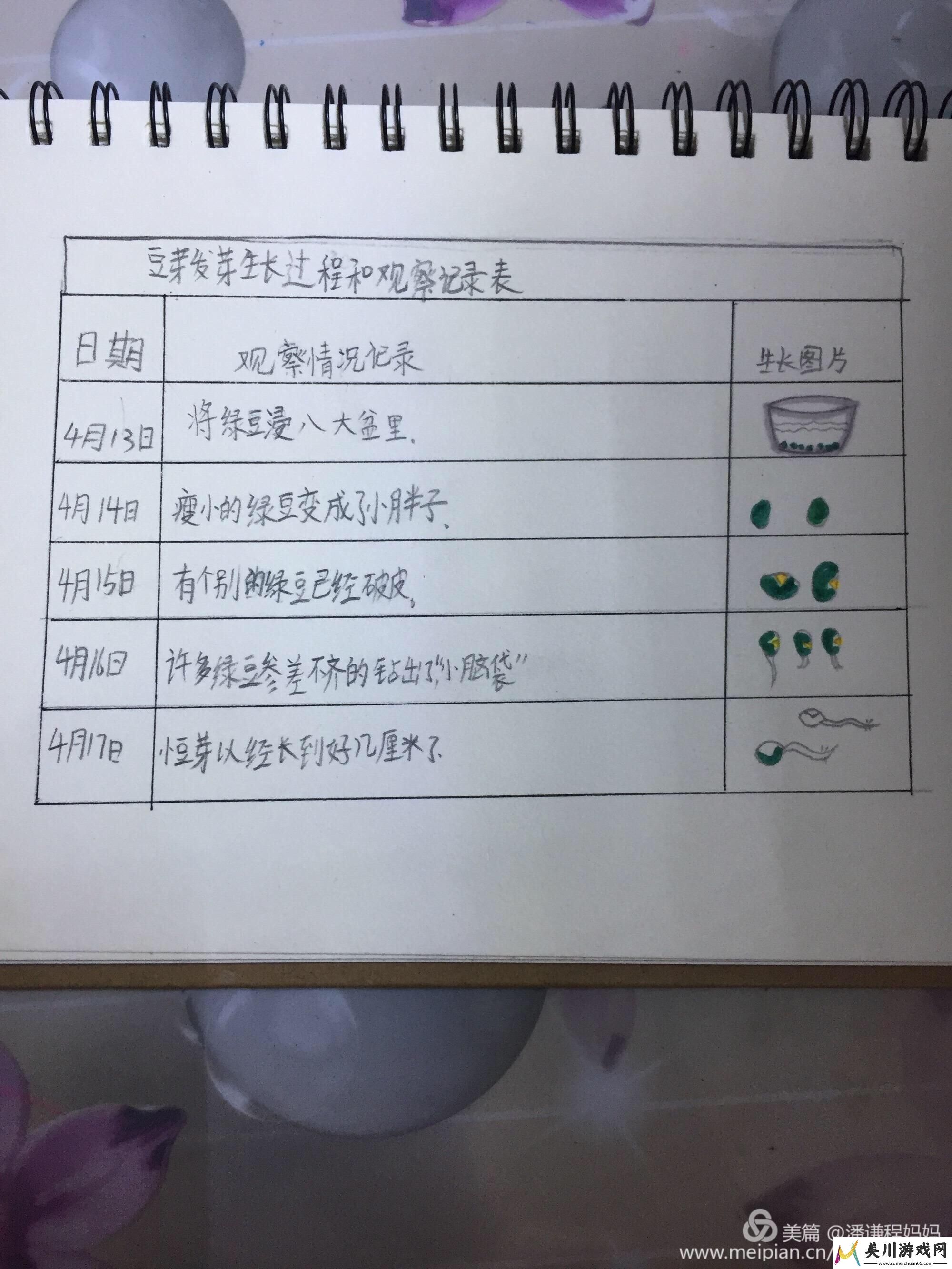 探秘成长密语③